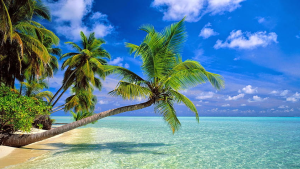 Un lugar donde perderse : «Isla Mauricio».