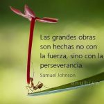 Frase de Hoy: » Las Grandes Cosas no están hechas con la Fuerza, si no con la Perseverancia»: Samuel  Johnson