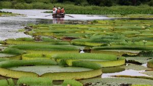 Un Lugar donde Perderse :  » Paraguay «