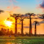 Un Lugar donde Perderse : » Madagascar » ( África )