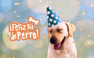 21 de Julio :  » Día Mundial del Perro «