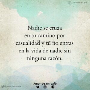 Paulo Coelho : » Nadie se cruza por azar en tu vida»  ( Reflexiones).