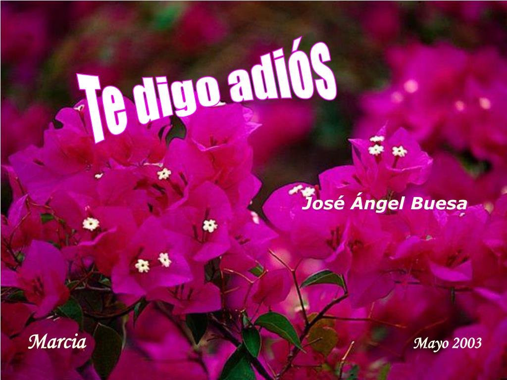 Jose Domingo  Castaño : Poema de la Despedida ( José Angel Buesa )