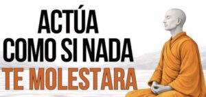 ACTÚA COMO SI NADA TE MOLESTARA :  7 ENSEÑANZAS BUDISTAS PARA VIVIR EN PAZ